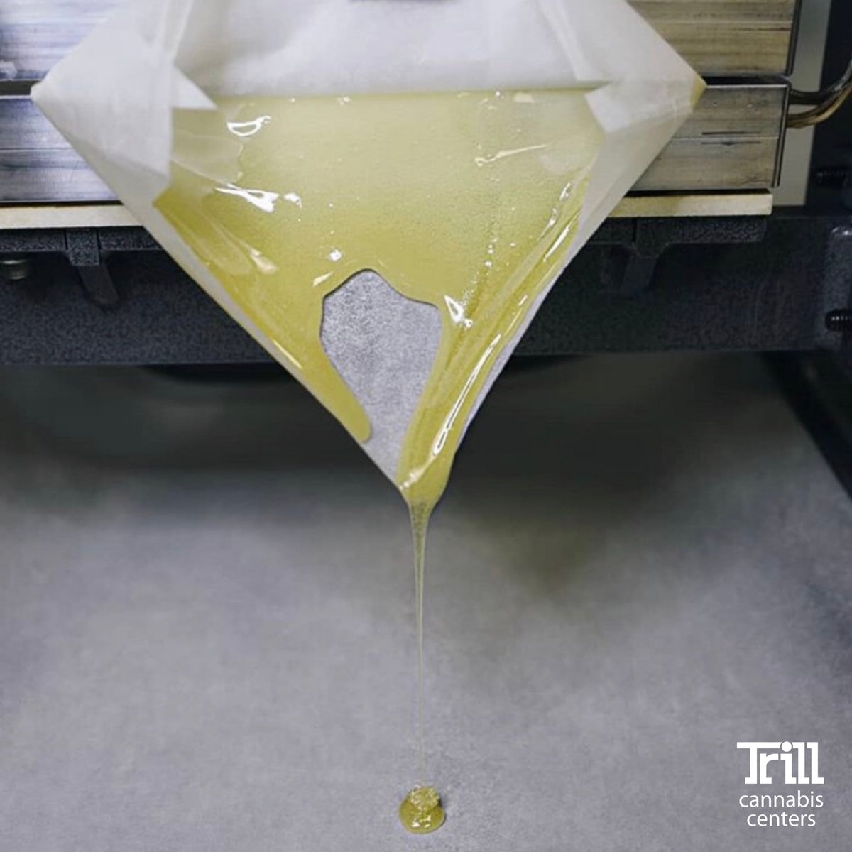 _unityrd's tweet photo. Am I the only one who has a fantasy about funneling that beautiful rosin straight into a dab rig?! 📸 - @dablogic https://t.co/tLlNPuiTPO