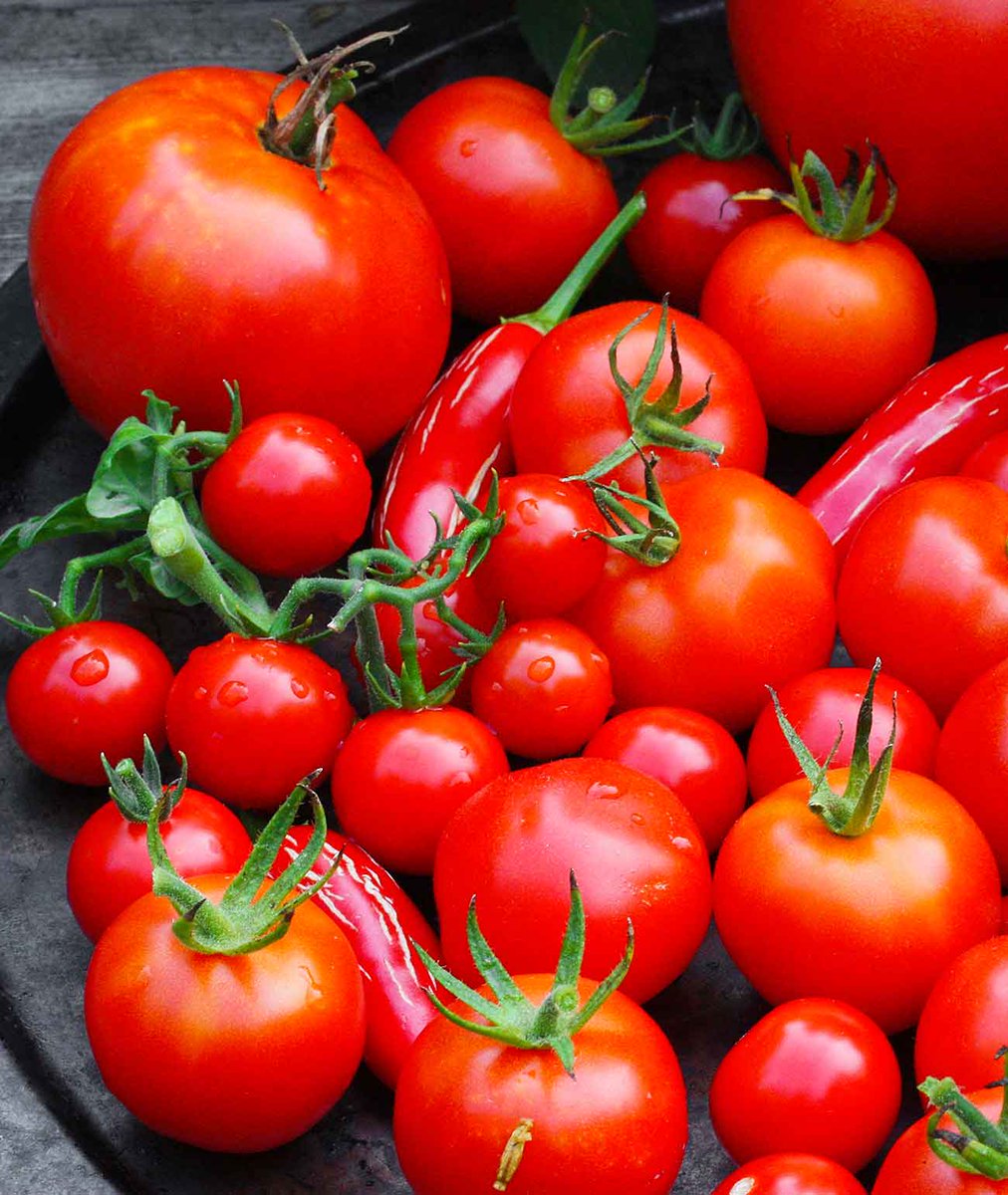 The Soup Cook™️ tweet media