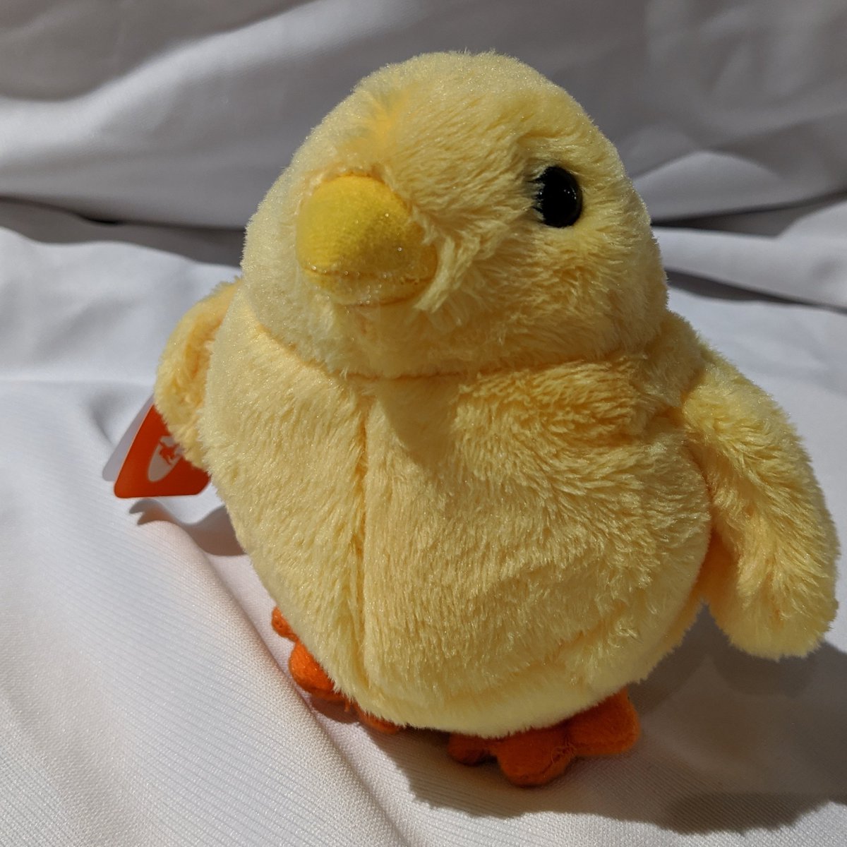 madRooster.com tweet media