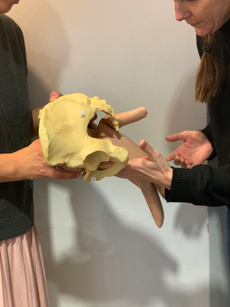 Breech101's tweet photo. Teaching #breech manoeuvres to resolve complications and restore the normal mechanism at Brighton today. Fantastic turn out from passionate #midwives and #obstetricians wanting time extend their breech knowledge and skills @SisterShawnRM @MidwifeSpillane https://t.co/uPVskeVm7T