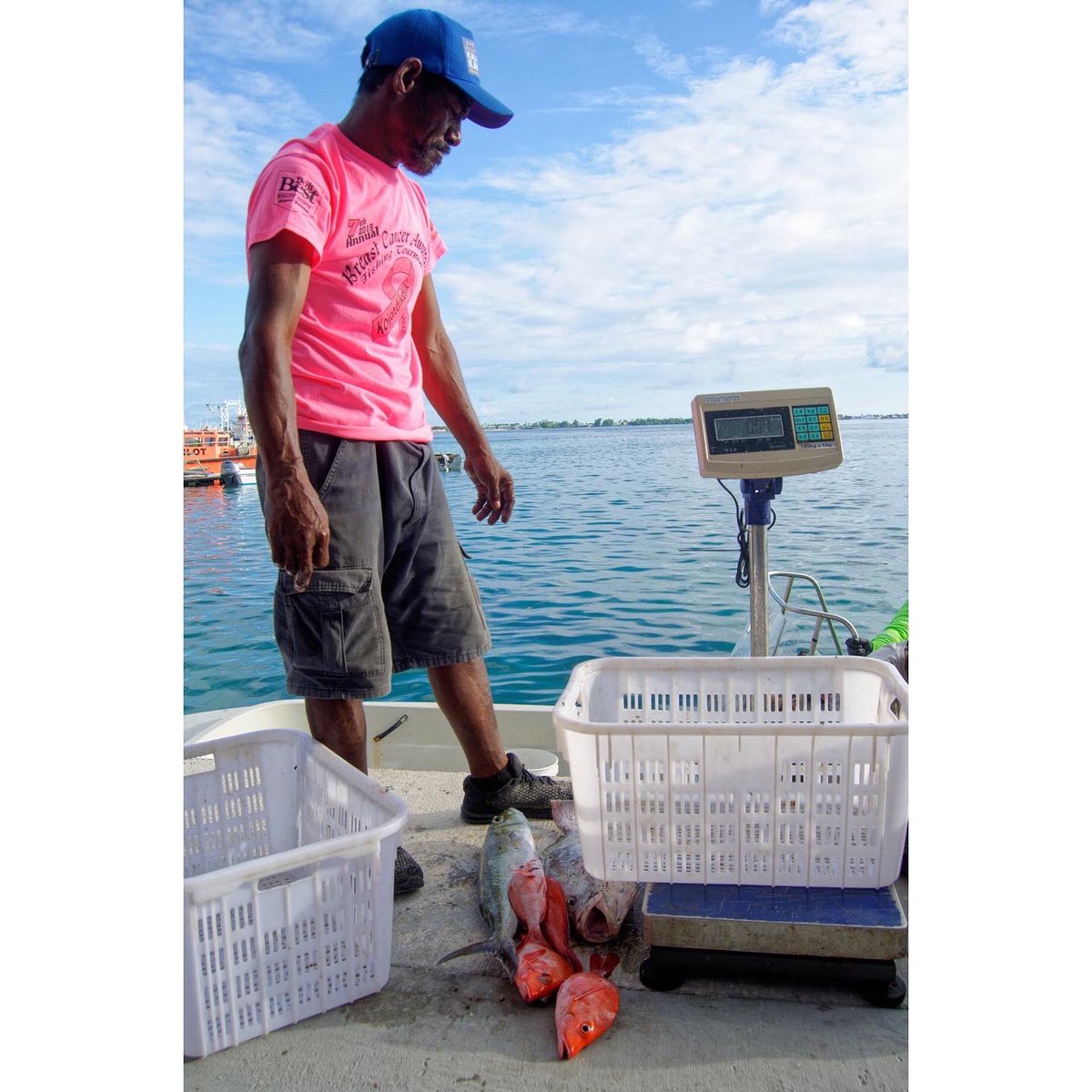 RTFilms's tweet photo. #Pantone has nothin on these fish ✨🐠 ✨
*
https://t.co/lI8Og2mgpO
#AcceptableFallout #ClimateJustice #RisingSeas #Documentary #COFA #Healthcare #NuclearLegacy #IndieFilm #MarshallIslands #Palau #FSM #fishing #foraging #nature #photography #pacific #internationalphotography https://t.co/2ZnaTXLB2K