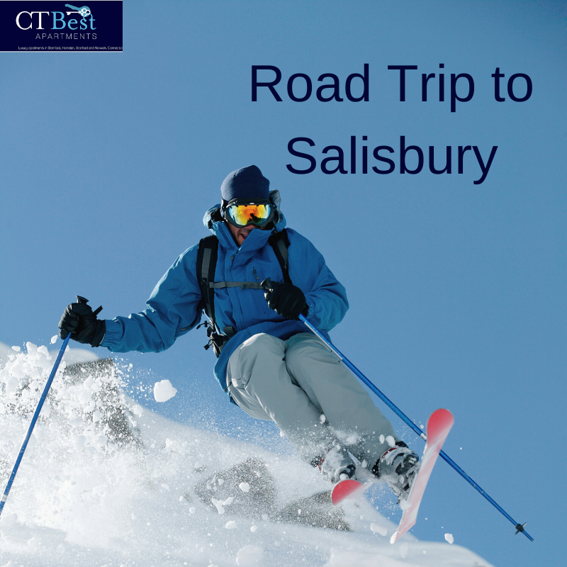 CTBestAparts's tweet photo. Ski down the slopes, take a scenic hike or explore the quaint historic districts that Salisbury, CT has to offer!⛷🌲🏠

Ranked as one of the top 25 coolest towns in America, Salisbury is a must see! Read our blog to learn how to plan your next trip.
📰https://t.co/DD6YICE46t https://t.co/XSYTHPQjmR