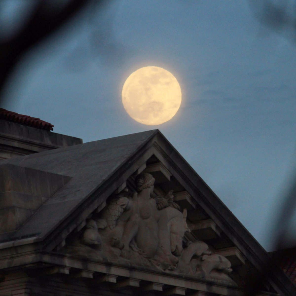 JimHavard's tweet photo. Wolf moon rising in DC today #moon #wolfmoon #Federaltriangle @capitalweather @StormHour https://t.co/fqm62UXWzg