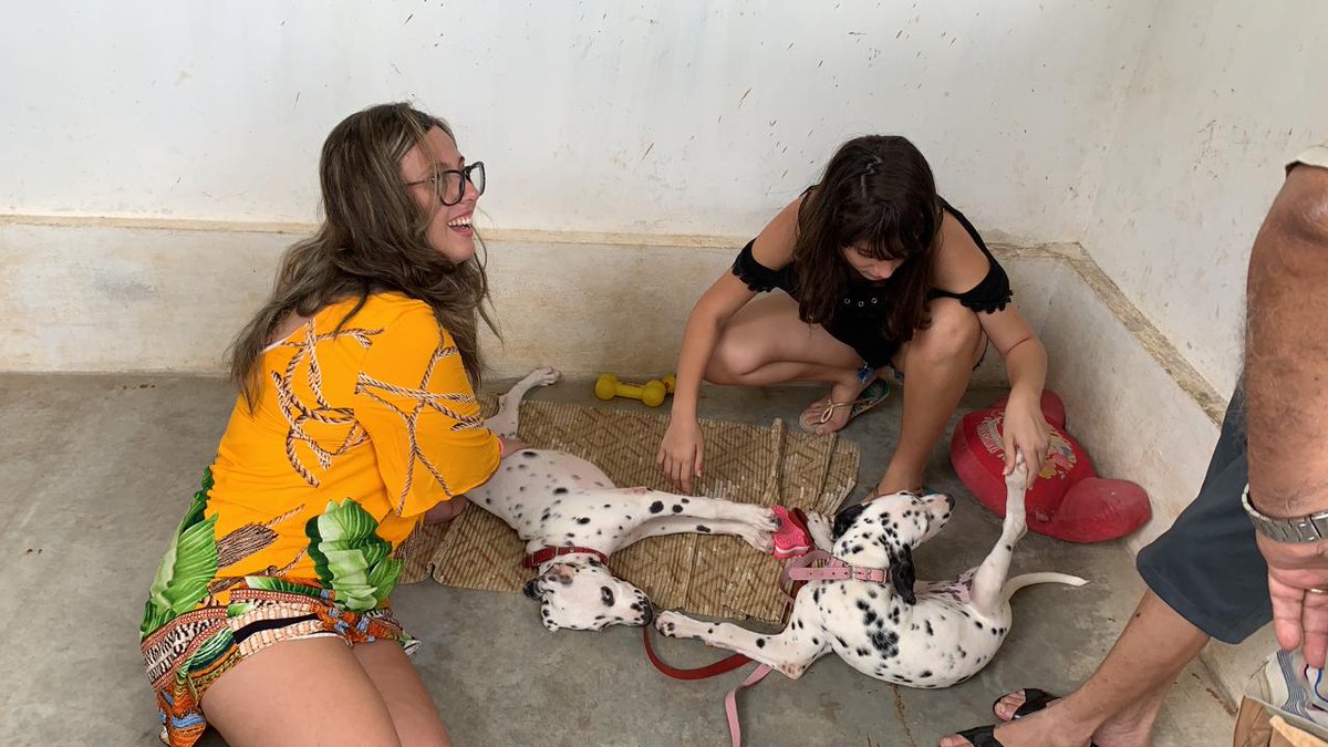 gabiirmelo's tweet photo. minhas dálmatas são lindas, né mores? Quem concorda respira https://t.co/7EnQwEnkQF