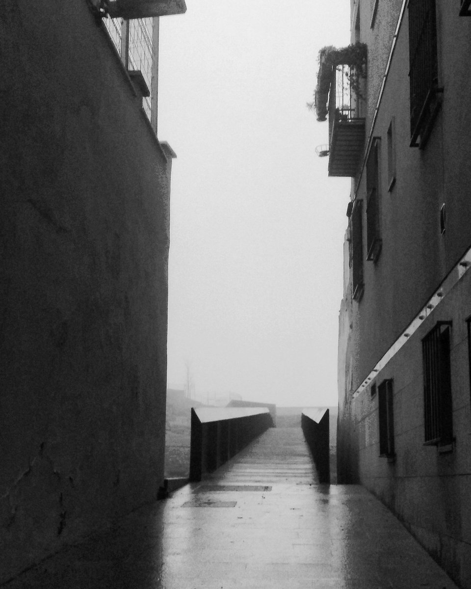 Tot el rato #boira i més #boira #calljueuLleida està...però no el veus😜😲 <a href="/LABOIRADEPONENT/">Laboiradeponent</a> això acaba algun dia O morirem d'inanició solar aviat?😱😱😱😱😱