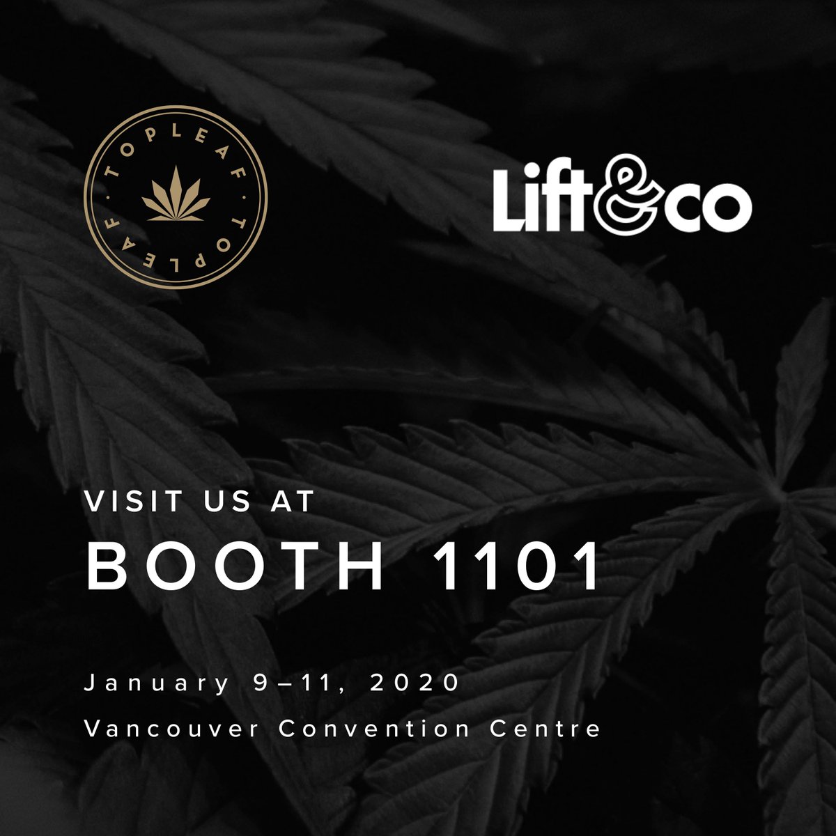 Miss us? Let’s catch up. <a href="/liftandco/">Omid</a> #CannabisCommunity #Vancouver #TheCraftofCannabis #TopLeafCommunity