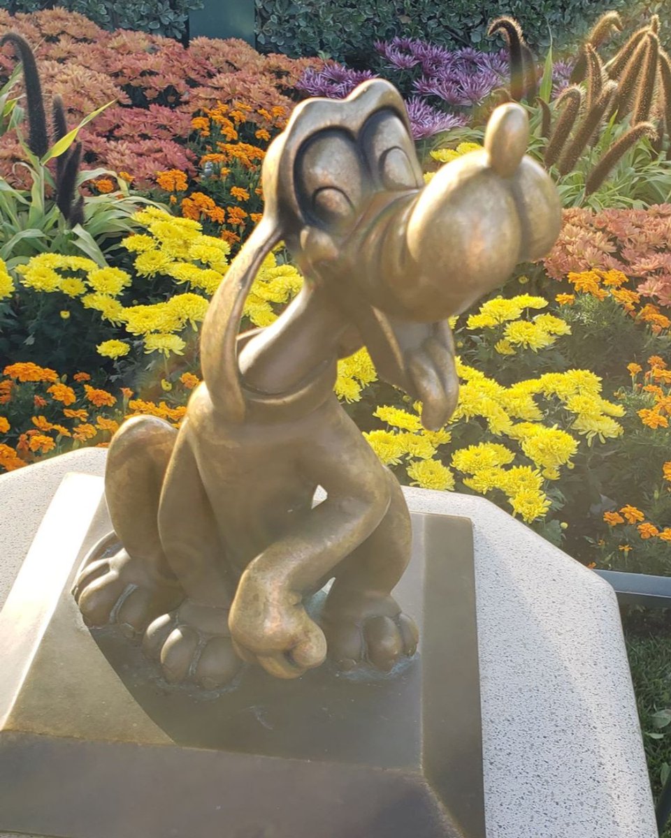 wdwnbeyond's tweet photo. Anybody else try to capture pictures outside the normal photo opps? #disneyland #wdwandbeyond #wdwnbeyond #waltdisneyworld #podcast #disneypodcast #disneyfamily #ohana #disnerd #disneyaddict #disneybound #disneyside #showyourdisneyside #magickingdom https://t.co/p0H1MHi4p0