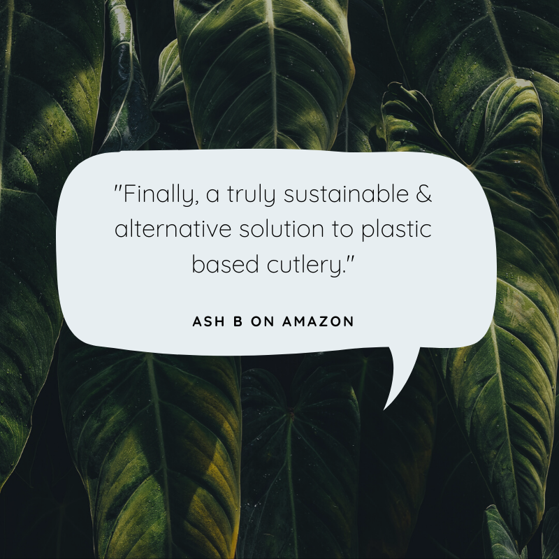 pandabode's tweet image. Q: Guess what always puts a smile on our face?
A: Nice reviews 

Thanks for your lovely review on our bamboo cutlery Ash 👊

#plasticfree #ThursdayMotivation