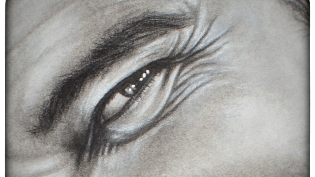 equitesartist's tweet photo. SORTEO-CONCURSO

Premio: reproducción en papel fotográfico A3 de cualquiera de los retratos de famosos de mi perfil

Requisitos:
· Seguirme
· RT + nombre del famoso + citar a alguien que EMPIECE a seguirme (también ganará premio)
· Acertar nombre del famoso

Sorteo 14 enero 20h https://t.co/GpENGq4w2l