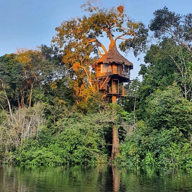 treehouse_lodge's tweet image. #Iquitos is Unique Destination 😍

Visit our blog to find out 10 Facts that make Iquitos a unique place. 
Link in bio! •

#traveling #travelgram 
#explorer #goexplore #travelmore
#lovetotravel #wonderfulplaces #staywithus #greentravel #iquitos #peru #treehouse #amazon #igersp…