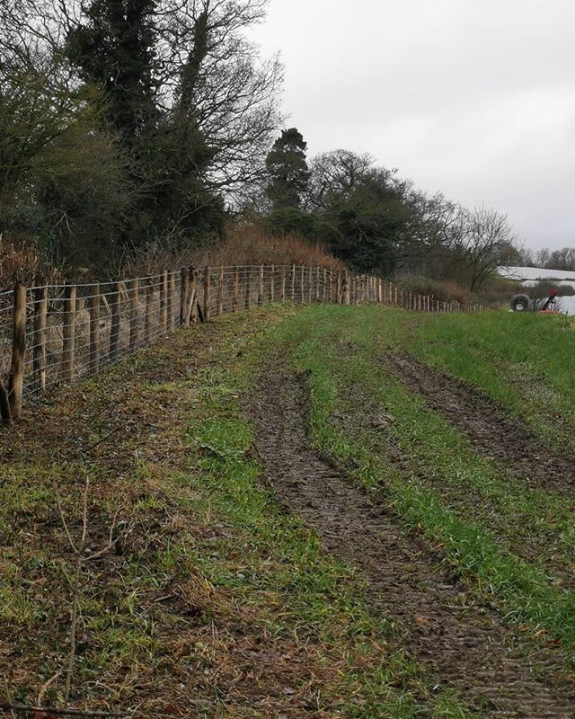 woodchurchfence's tweet photo. Old fence out hedges cut back 700m of new stock fence in.
#woodchurchfencing #fencingcontractor #kentfencer #stockfencing #agriculturalfencing #mcveighparker #rabbitfence #protechevo1 #boundaryfencing #bartyfarm #beeffarming https://t.co/qnWn6fks1Y