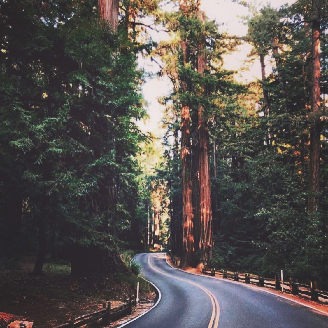 Down #Highway1 and through the woods to #Monterey, California we go!

Plan a stay at #RedLionHotel Monterey this year: bit.ly/2OrMiqx