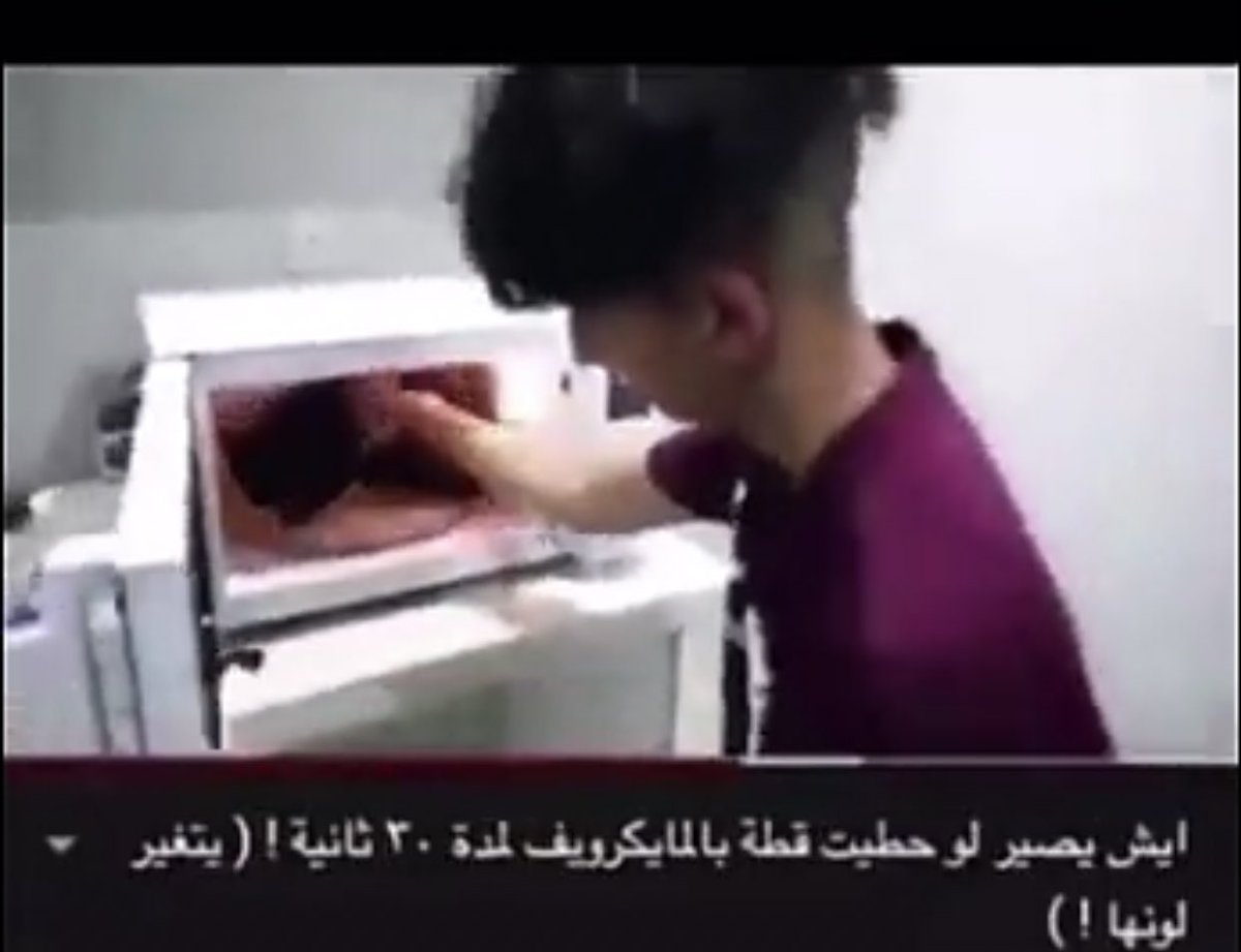AbdullahK5's tweet photo. سفيه اليوتيوب هذا يجب معاقبته بأسرع وقت ممكن تخيّلوا يضع قطة صغيرة في مايكرويف لمدة 30 ثانية يعذبها عشان بس مشاهدات !!! *تذكرت وثائقي في "نيتفلكس" عن كندي مريض نفسي يعذب القطط ويرفعها يوتيوب للفت النظر وتطور الحالة إلى انه يقتل الوثائقي بعنوان"Don’t F with cats” 
#دايلر_يعذب_قطه https://t.co/myPe9gVUz3