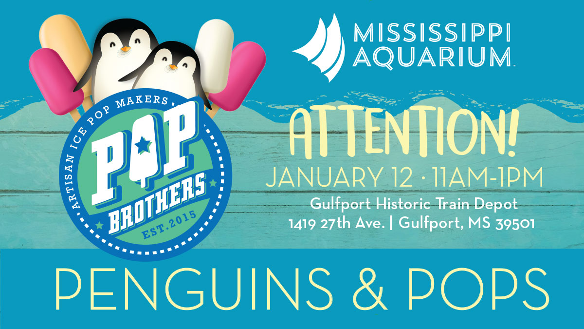 MS_aquarium's tweet photo. Attention! Due to the weather, we are moving Penguins &amp; Pops to SUNDAY, January 12, 2020.

Location: Gulfport Historic Train Depot - 1419 27th Avenue
Time: 11 am - 1 pm

BONUS! Our friends @Snaparazziphoto will be there to document the fun! https://t.co/UywYO1vsD7 https://t.co/w498JFiaps