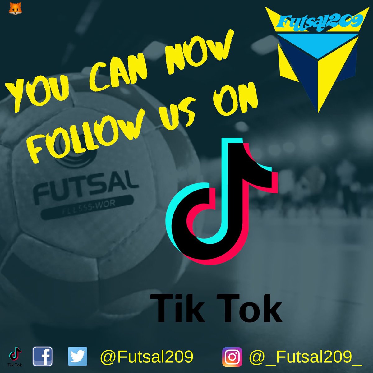futsal209's tweet photo. Follow us on @tiktok_us #futsal #turlock #centralvalley https://t.co/XIBFWYExKD