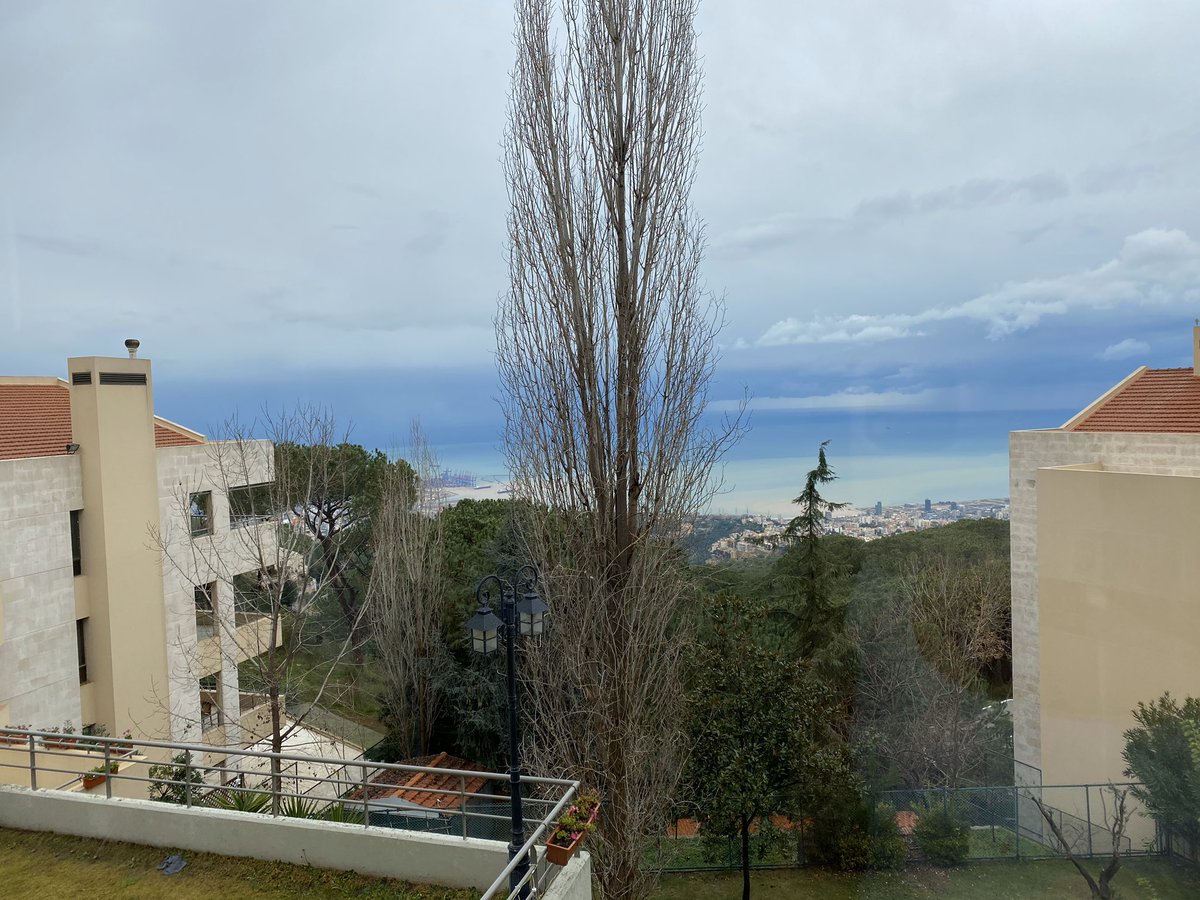 #7PhotosOfMyLife Day 1/7. No people, no filters, no explanations. One per day. Nominated by <a href="/shan_hald/">shannon</a> Today I nominate <a href="/majedhechi/">Majed Hechi</a> .