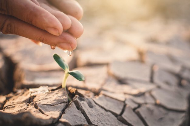 AliciaPerezRosa's tweet photo. 🌳 2020 será el año de tu RENACIMIENTO; año de cosecha y restitución. ¡Porque nada está perdido! ➡️ Busca al Señor con todo tu corazón y Él te hablará; ¡entra en el avivamiento sobrenatural de Dios! 🙌🏻🔥 Siempre hay esperanza para el que cree. 🌱✨ https://t.co/CI3ZwqwT0O