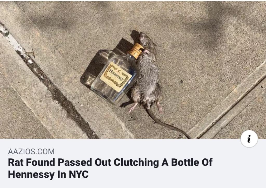 CaliClouds's tweet photo. Only in #NYC #hennessy https://t.co/Wt3Qm2AaXp