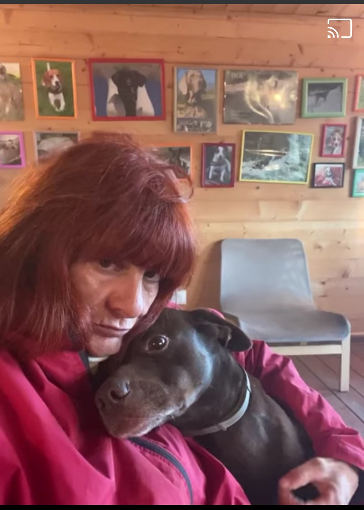 ADOTTA UN CUORE*CONDIVISIONI*APELL tweet media