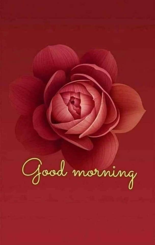 hello66550 tweet picture