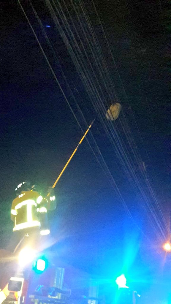 Rescatan perezoso que se encontraba en cables de servicios básicos cerca de la Posada Boqueteña en la provincia de Chiriquí. Fue entregado a personal <a href="/MiAmbientePma/">Ministerio de Ambiente de Panamá</a>. Detalles de <a href="/BCBRP/">Bomberos De Panamá</a> #NoticiasTVN