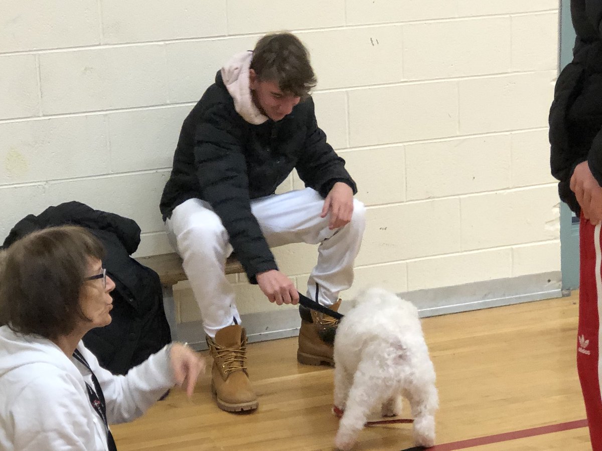 MariaMaiato's tweet photo. Therapy Dogs @VSS - great way to relieve stress
#VSSROCKS #cuckoobananas ⁦@ChrisSarellas⁩ ⁦@vss_ac⁩ ⁦@VSSImpact⁩ ⁦@VSSlibrary⁩ @vss https://t.co/FJaVIyuGsD