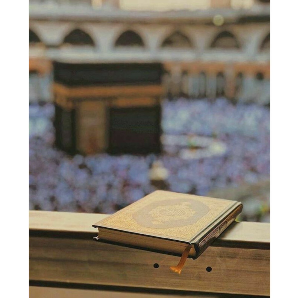 Sado_18_'s tweet photo. Blessing your timeline 🌸
#JummahMubarak https://t.co/Ma3IcPecEh