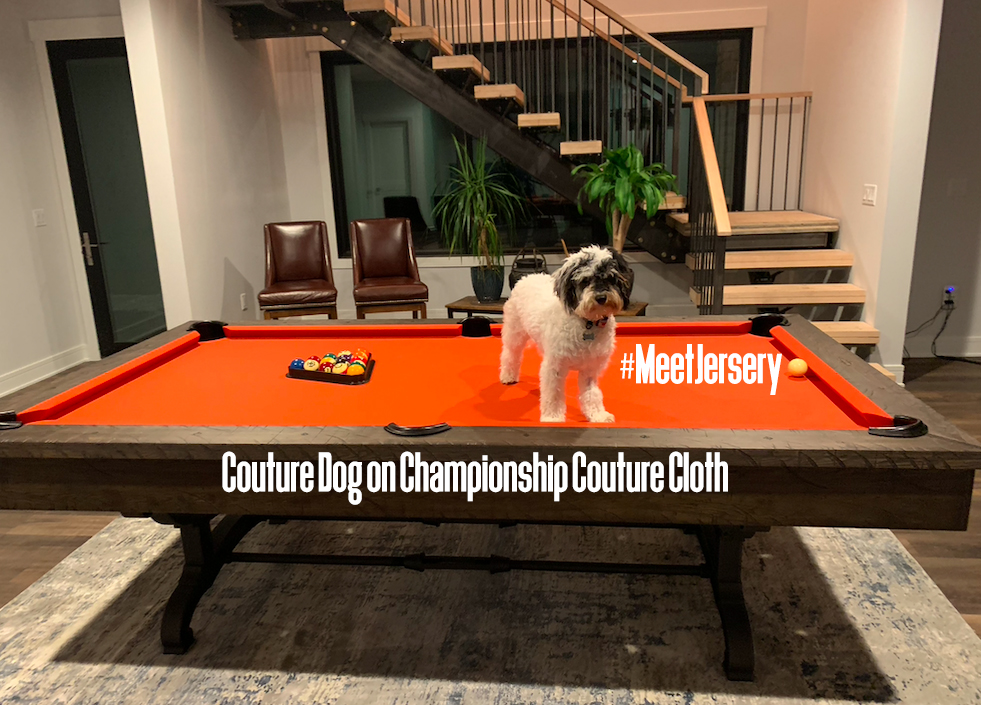 Championship Billiards takes their cloth to the next level with #CoutureBilliardCloth even Jersey knows great quality when she sees it!