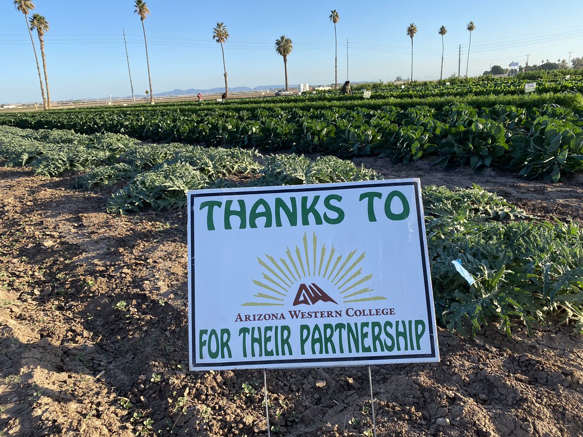 JohnBoelts's tweet photo. Well, my turn to host a #FieldToFeast was today, so January is also exceptional! #GetAheadBuyLettuce #MamaSaidEatYourVeggies #YumaAZ https://t.co/2hOBXhzqxG