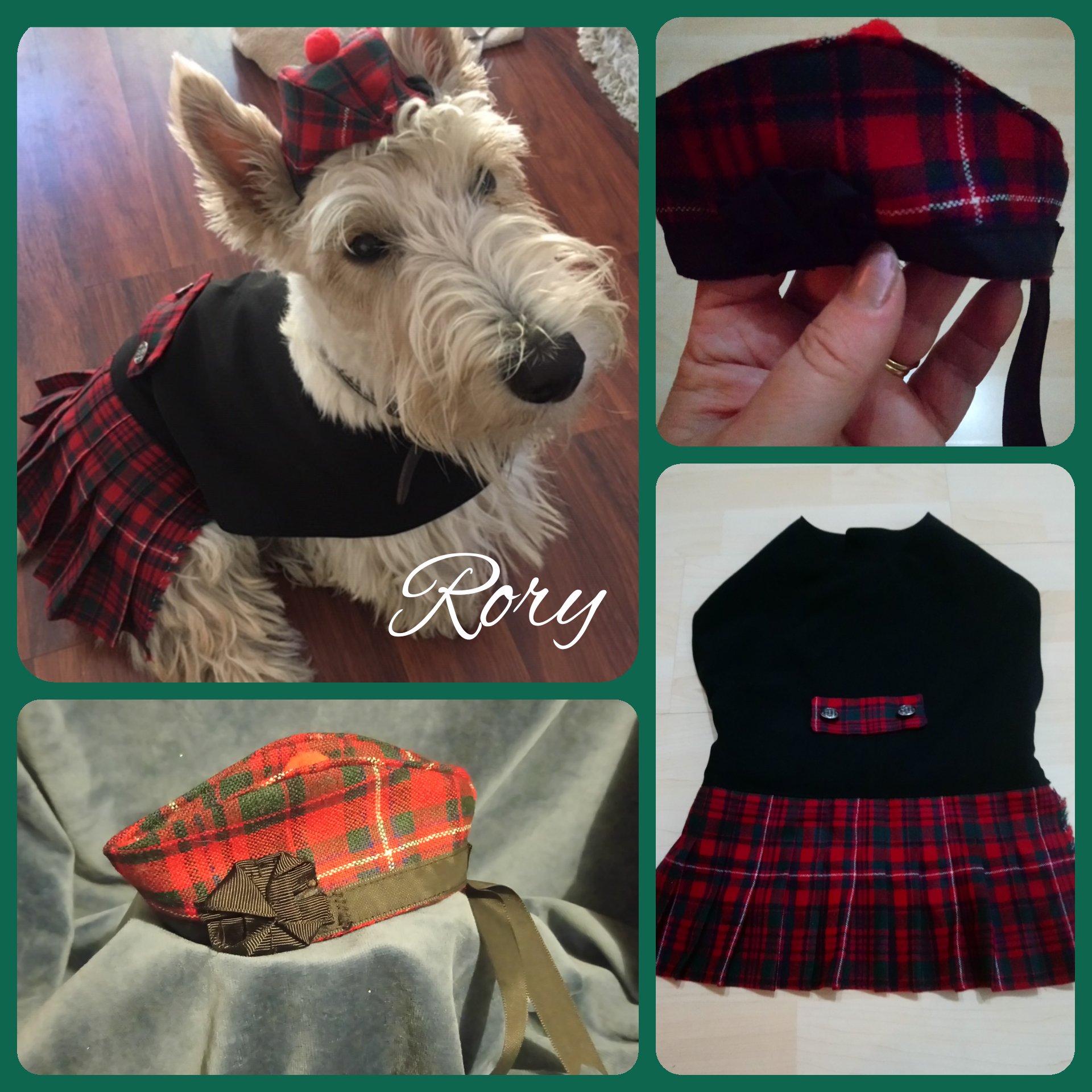 William Wallace Medieval Dog Kilt