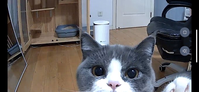 Twitterのコスプレ画像32