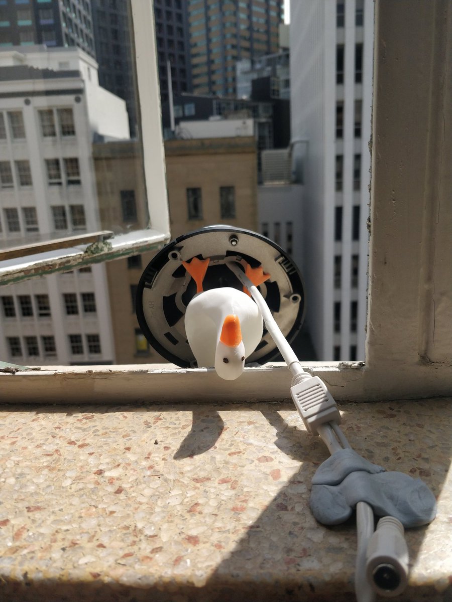 thebusfactor's tweet image. We've got a helper putting their legs up to get this show going. Prestream up now. We'll start talking at 5!