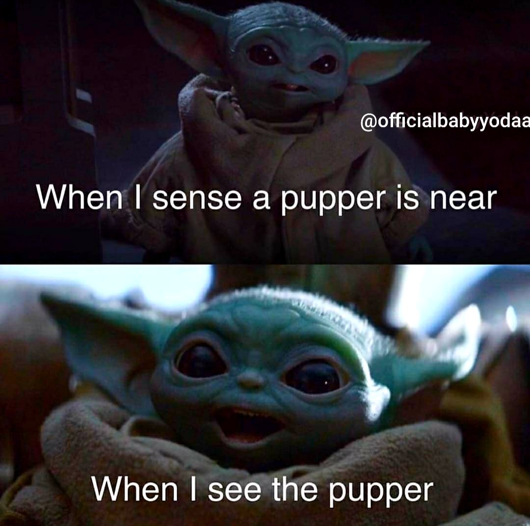 Baby Yoda Snacky Snack Meme 10lilian