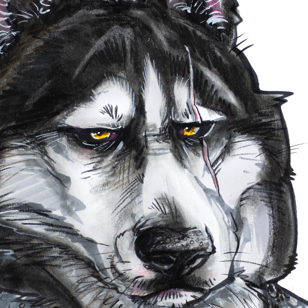 Drawmydog3's tweet photo. Quick study for some #Witcher fanart in the works! ⚔ I know Geralt is technically the "White Wolf", but this grumpy husky was just giving me the perfect "Dandelion....stahp" vibe 🤣⁠⠀
#fanart #thewitcher #geraltofrivia #husky #petportrait #petcaricature #dog #artist https://t.co/ooQmXZgifX