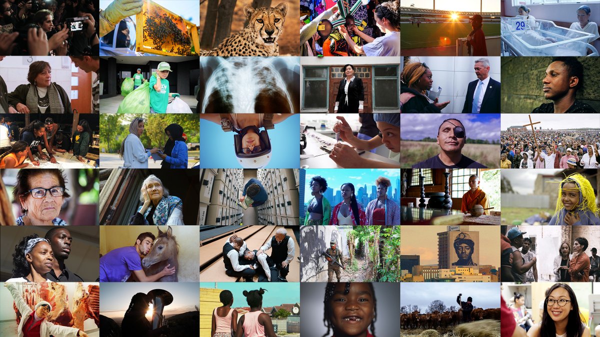 SIMAawards's tweet photo. CONGRATULATIONS #SIMA2020 Finalists! 

Stories from 34 countries move on to the final round of the 8th annual SIMA Awards. 

Meet the storytellers and activists that represent the most cutting-edge social-issue filmmaking of our time. —> https://t.co/fiYuH5yNfr

#SIMAFinalist https://t.co/XiNY59bflb