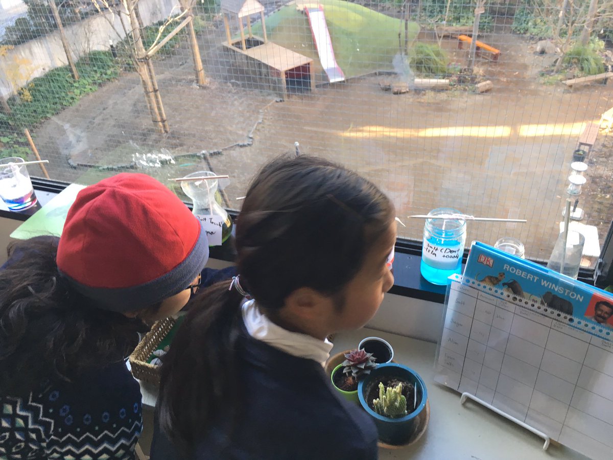 MSTokyoWillow's tweet photo. Checking on their experiment as soon as they arrive at school #MSTcuriosity #MSTElementary #MSTscience https://t.co/c5Z5w9PGw3