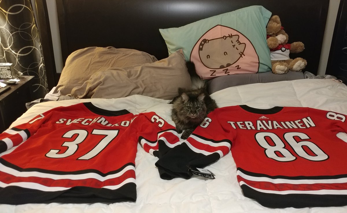 officeninjacat's tweet photo. Our first @Canes custom jerseys! What a great surprise to find after work! #VoteTeuvo #DougieNeedsTurbo #Svech #SvechDotCom https://t.co/Px661Ohjm9