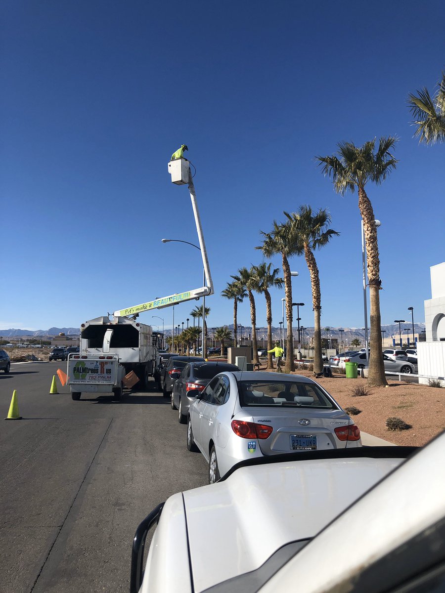 PalmtreesR's tweet image. What a beautiful day