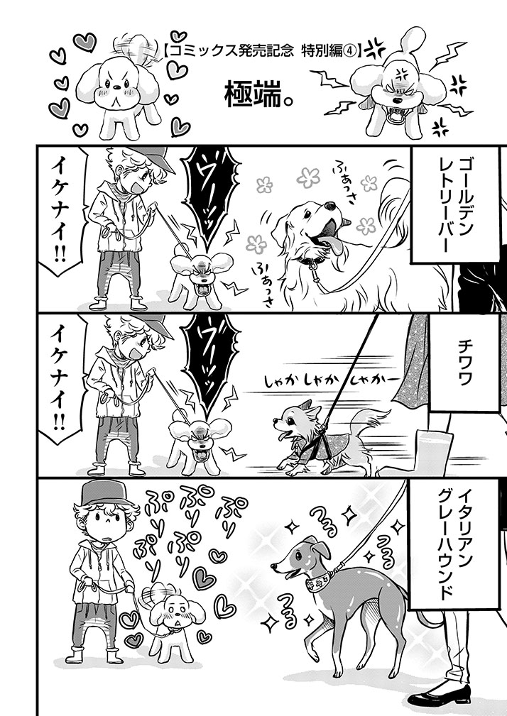 みやうち沙矢 A Twitter 犬にも好みがあるし 好みの法則が難解な奴もいる という漫画 犬漫画 Dogsignal T Co Xhan8xoi24 Twitter