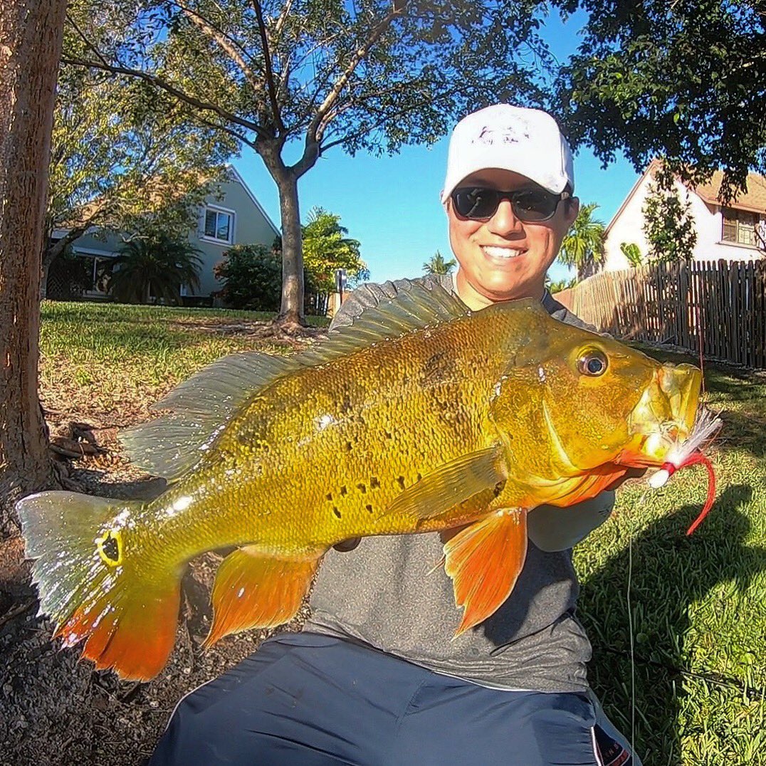 islandlifefish1's tweet photo. https://t.co/TmDtItWuYn
๐๐๐๐
Itโs New Video Thursday Yโall ๐ฅ๐ฅ๐ฅ๐ฅPromote YOUR NEW VIDEOS TONIGHT LIVE AT 11pm eastern time on the IslandLifeFishing Show!!! #LetsGo #Helpingothersgrow #Doitright #PositiveVibes https://t.co/olPwMBEsk6