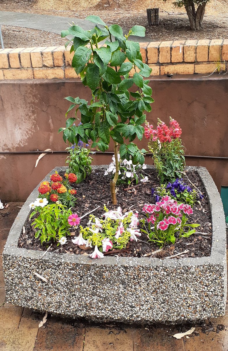 Dr Nathan Kilah @chemistrynathan.bsky.social tweet media