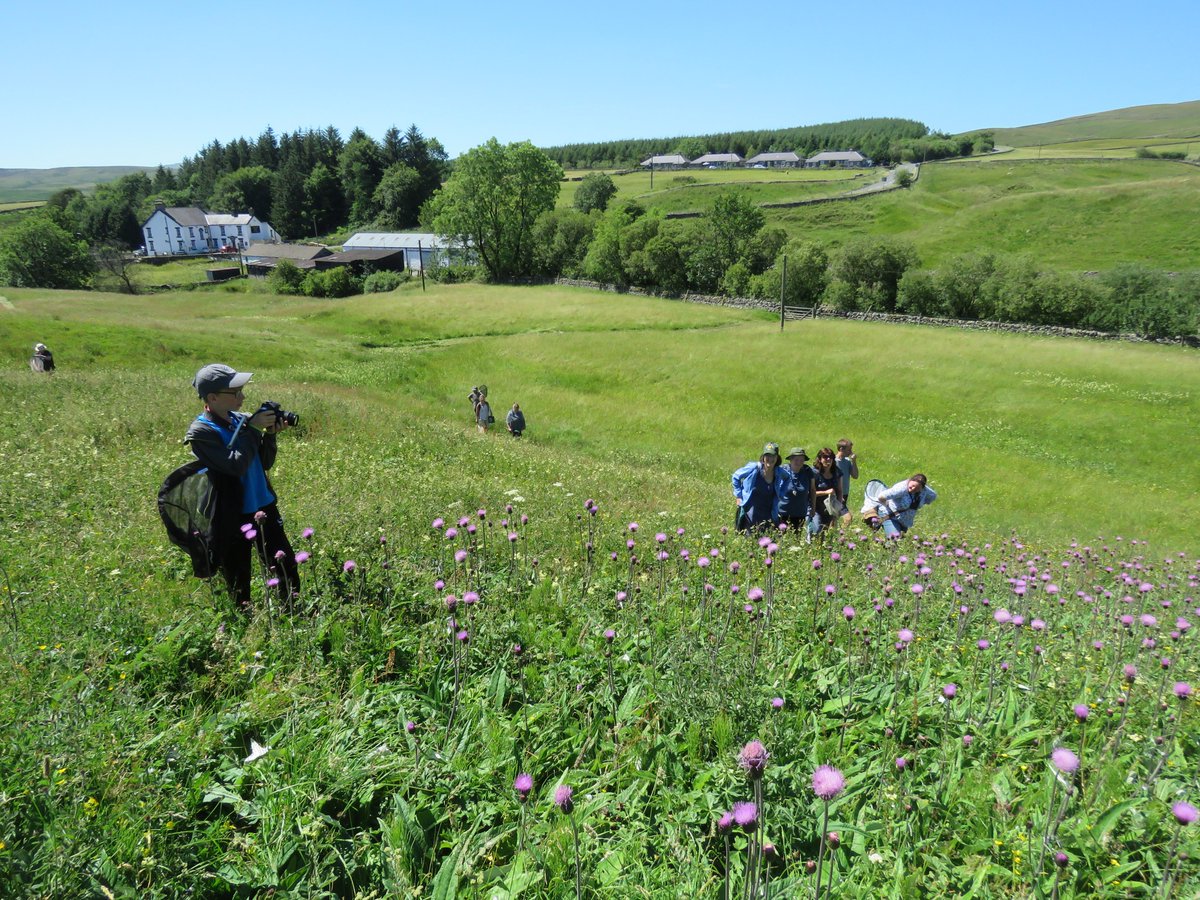 <a href="/NorthPennWild/">C-blooded&Spineless</a> @NorthPennAONB <a href="/HeritageFundUK/">The National Lottery Heritage Fund</a> <a href="/MossFool/">Moss Fool</a> <a href="/kitenet/">KAITO</a> <a href="/dgcountryside/">dave grundy🇪🇺😷</a> <a href="/WeardaleWild/">Weardale Wildlife </a> <a href="/AllenvalleyWild/">Allenvalley Wildlife</a> @NEE_Naturalist <a href="/Team_DUMP/">DUMP</a> It has been an absolute pleasure to work with you guys in delivering bee ID workshops and has left me with a deep love of the North Pennines AONB. Thanks so much for all your support and good luck withe future plans. Hope I can get up there again soon.
