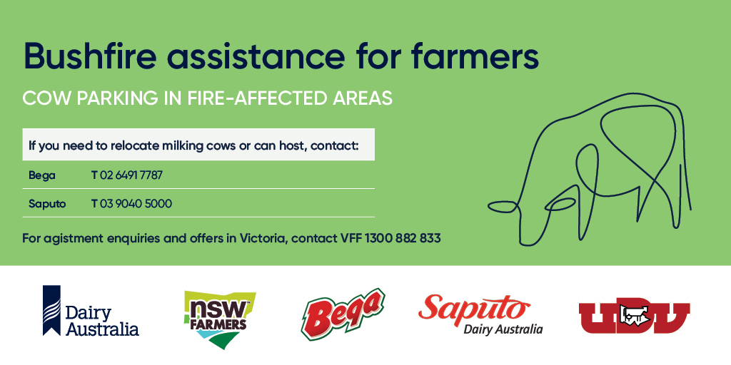 Do you need to relocate milking cows in a bushfire area? Are you a dairy farmer that can help host milking cows? Bega and Saputo are facilitating cow parking arrangements between farms. Find out more and download our cow parking fact sheet here: bit.ly/BushfireCowPar…