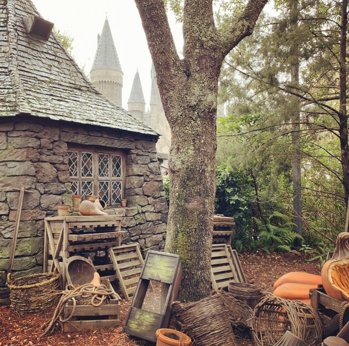 TrioTraveling's tweet photo. “What's comin' will come, and we'll meet it when it does.” -Rubeus Hagrid

#2020vibes #growth #positivity #travel #travelingtrio #hagrid #harrypotter #universalstudios #islandsofadventure https://t.co/SeVkbDPoQL