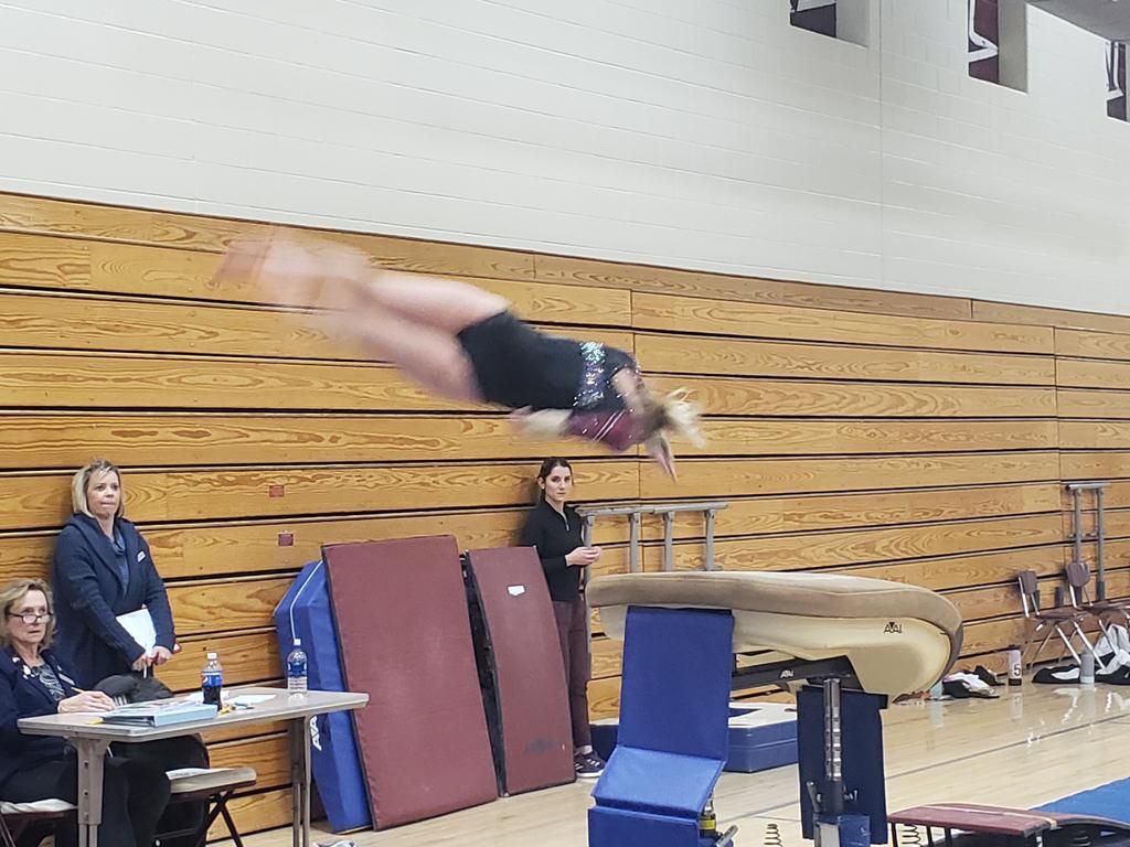 Holmen Vikings tweet media