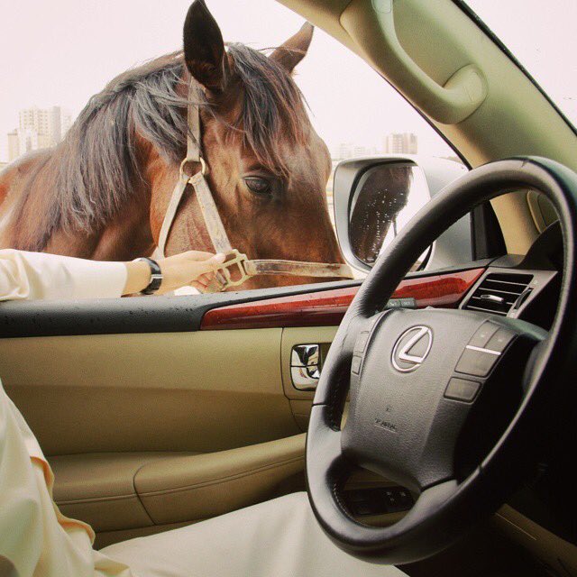 ماكن في العمر حيين غيره ولا لي سير
سوا منه لة في الواقع وفي تخياله

احبه واشوف ان العرب من غلا تغيرر
ولاهمني في اغلى البشر هرج عذاله
