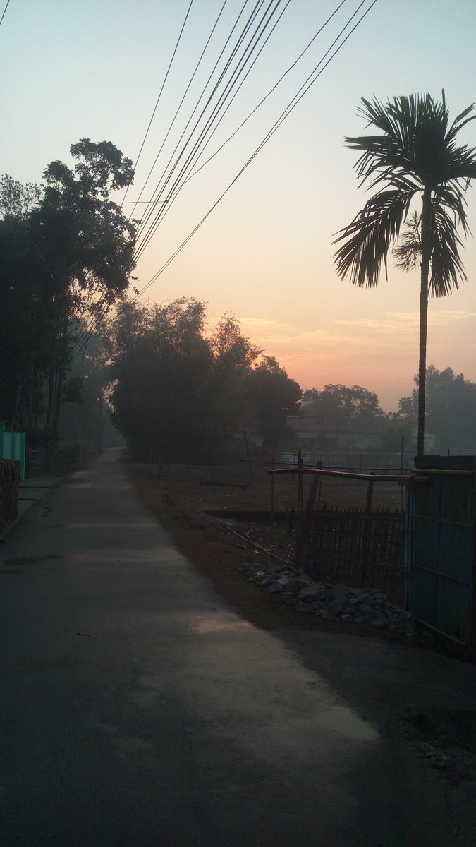 Mornings