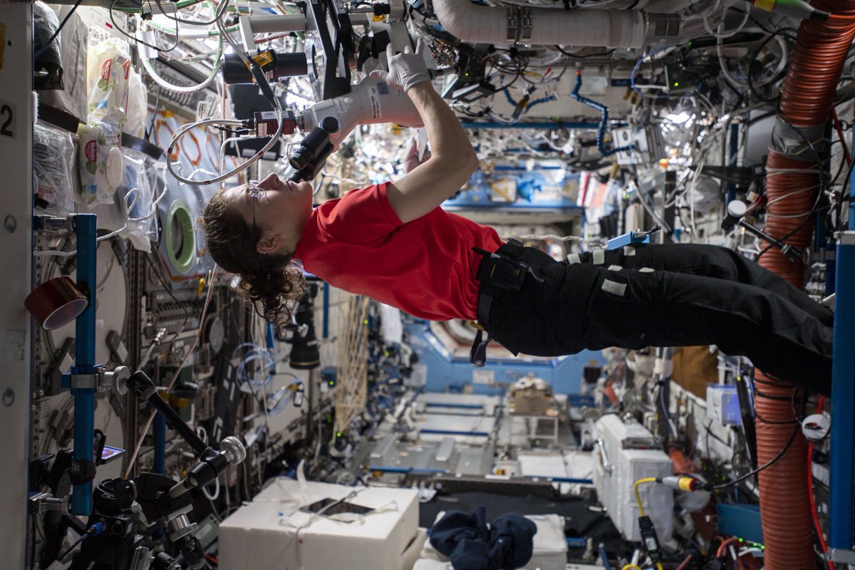 RenaissanceJax's tweet photo. 3️⃣0️⃣1️⃣ + days in space! 👩🏼‍🚀🚀 @Astro_Christina is expected to spend a total of 328 days, or nearly 11 months, on board the space station before returning to Earth. #BuildingRobotsBuildsGoodPeople https://t.co/p3tvDWWhQP