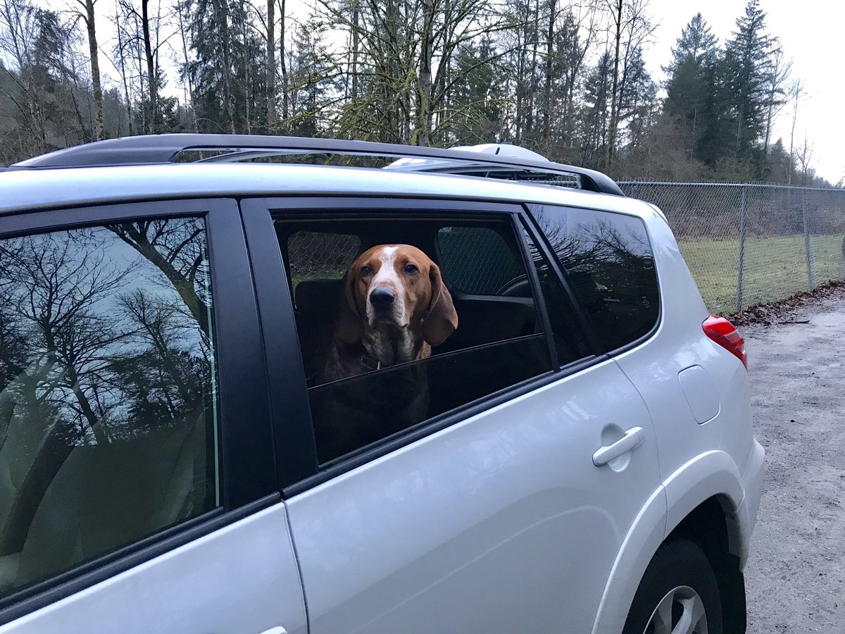 jazgriff_'s tweet photo. Little bean loves his new whip🥰 https://t.co/h7bXKmr4V3