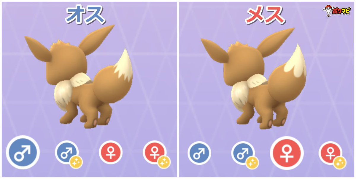 ポケモンgo攻略情報 ポケマピ 既にお気づきかもしれませんが 最近イーブイのしっぽの模様が変更されました 相棒と冒険 機能実装時 メスの模様が変更 進化形は変更なし レアなメスのイーブイ 7 1 を 野生で見分けやすくなりましたね